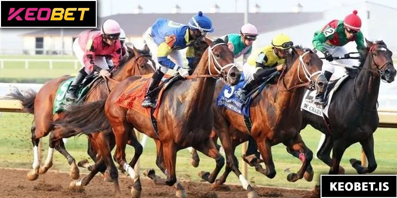 ทำไมควรเข้าร่วมการเดิมพันแข่งม้า