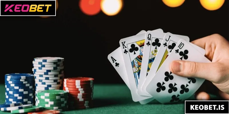 ทำไมนักเดิมพันถึงเลือกใช้แพลตฟอร์มนี้