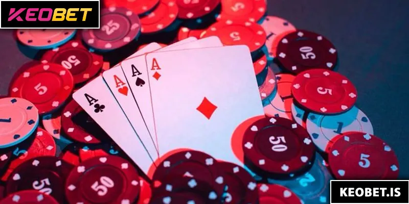 ประสบการณ์การเดิมพันของสมาชิกที่นี่