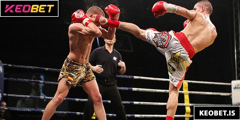 ประเภทรูปแบบการเดิมพันมวยไทยที่โดดเด่น