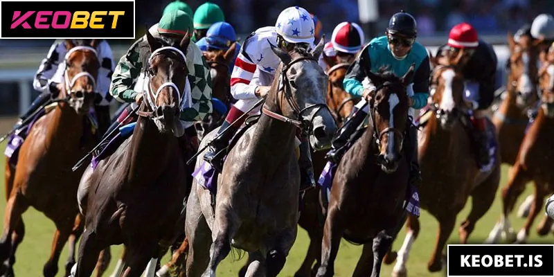 วิธีการเดิมพันแข่งม้ายอดนิยม